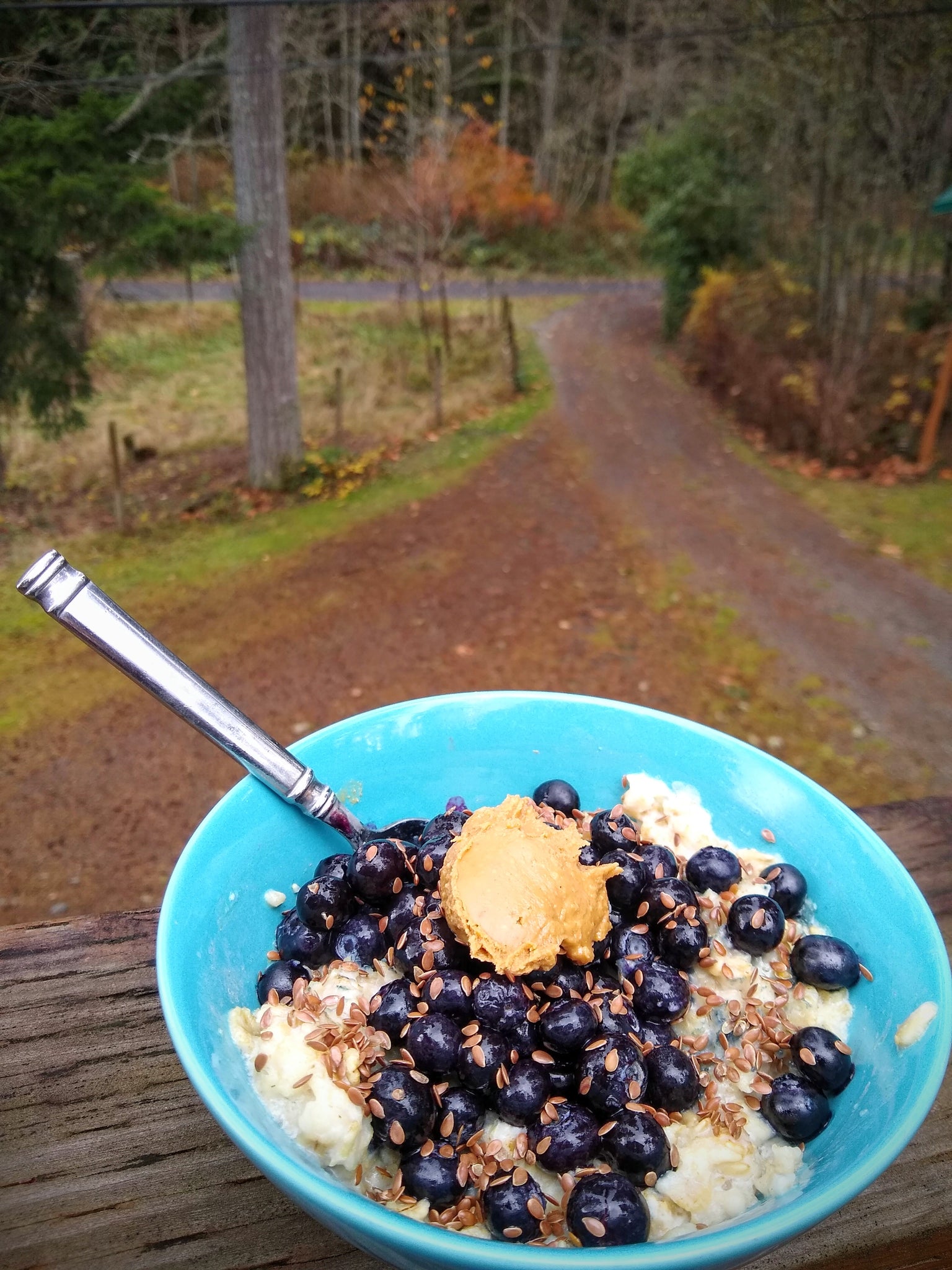 Anne's Protein Oatmeal Recipe